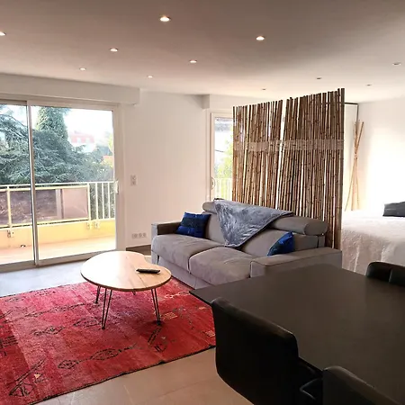 公寓 Le Cedre Magnifique A 戛纳