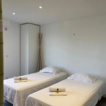 Le Cedre Magnifique A