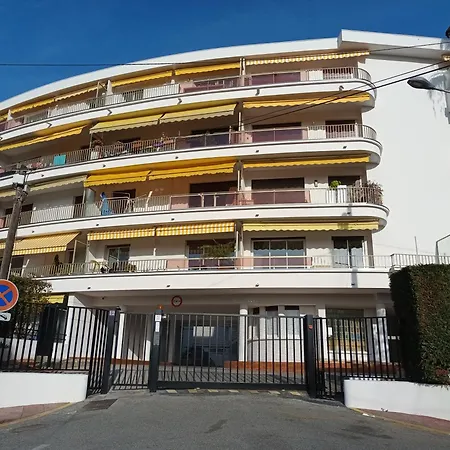 Le Cedre Magnifique A