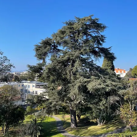 דירה Le Cedre Magnifique A